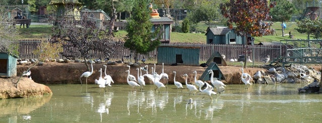Polonezköy Piknik Park is one of Lieux sauvegardés par Ayşe Tuğçe.