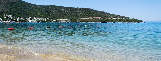 Torba is one of Bodrum.