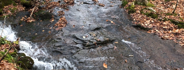 Cascade Mountain Foot Trail is one of To do.