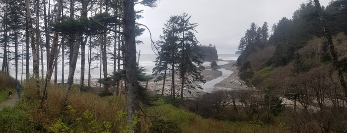 Ruby Beach is one of Olympic NP.