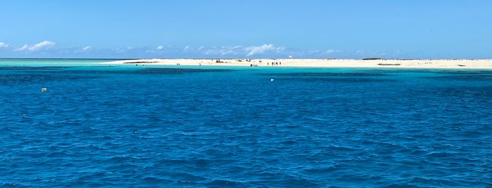 Michaelmas Cay is one of My backpack trip to Cairns, AUS.