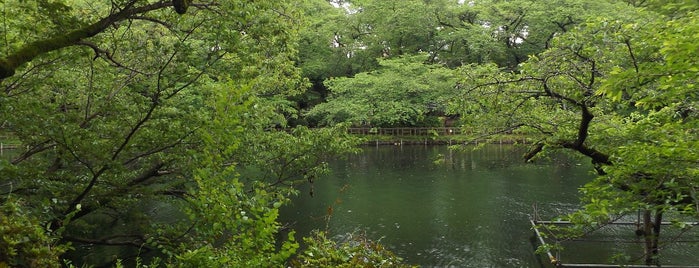 Inokashira Park is one of Things to do - Tokyo & Vicinity, Japan.