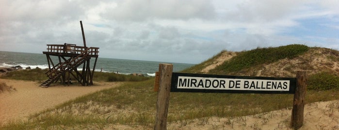 Mirador de Ballenas is one of Locais salvos de Yael.