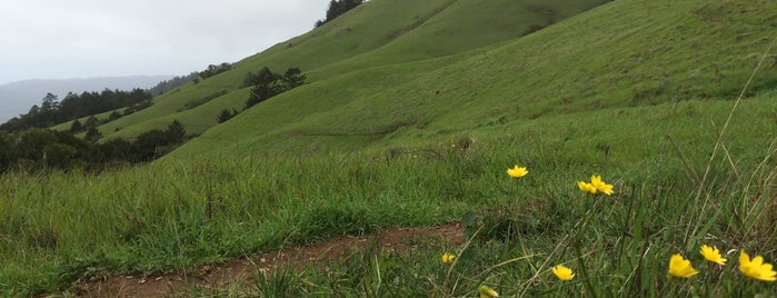 Mount Tamalpais State Park is one of Nor Cal Destinations.