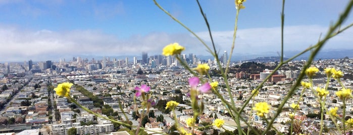 Bernal Heights Park is one of Davidさんのお気に入りスポット.