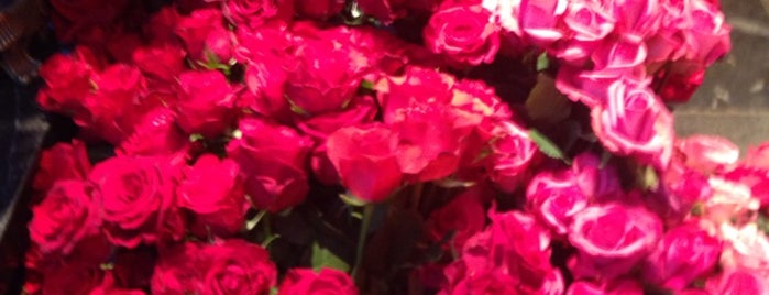 Roses Costes Dani Roses is one of Екатеринаさんの保存済みスポット.