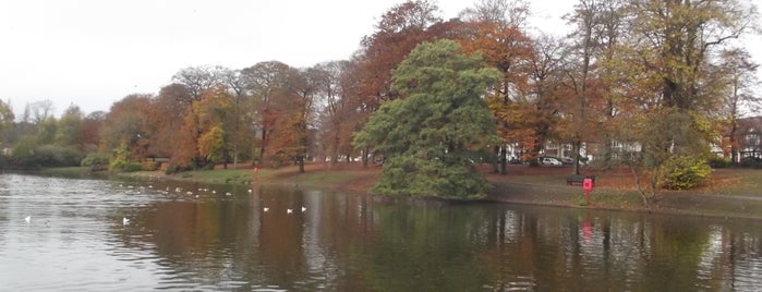 Swanshurst Park is one of Lugares favoritos de Elliott.
