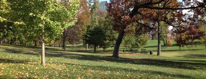 Shaw Park is one of What makes St. Louis AWESOME!!!.