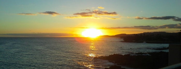 Poipu Shores is one of Lieux qui ont plu à Chrissy.