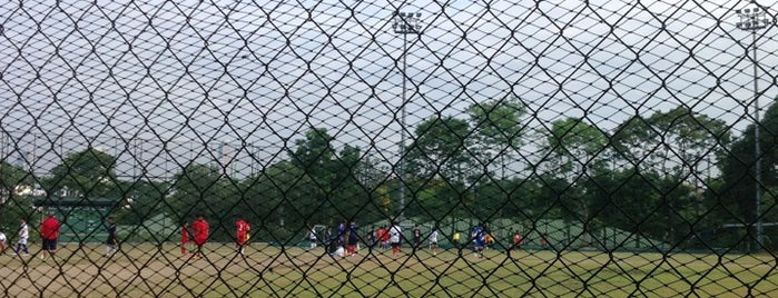 Manila Polo Club Baseball Field is one of Places to play Ultimate in Manila.