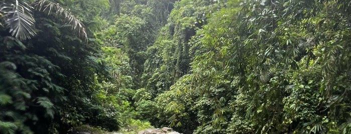 Royal Kamuela Ubud – Monkey Forest is one of Aston International Group.
