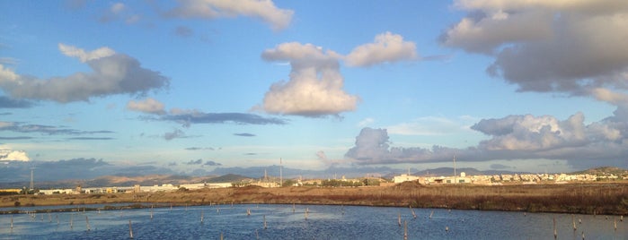 Riserva Naturale orientata Saline Di Trapani e Paceco is one of Posti che sono piaciuti a Mauro.