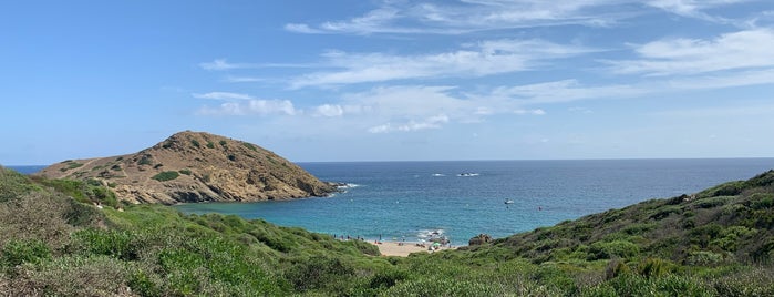 Playa Sa Mesquida is one of Menorca.
