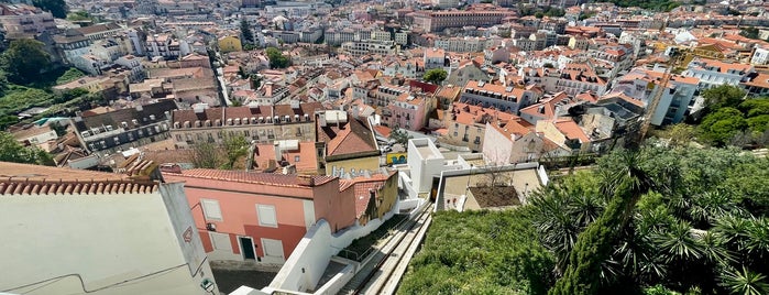 Miradouro Sophia de Mello Breyner Andresen is one of Lisboa.