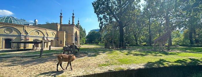 Giraffenhaus is one of Sevil'in Beğendiği Mekanlar.