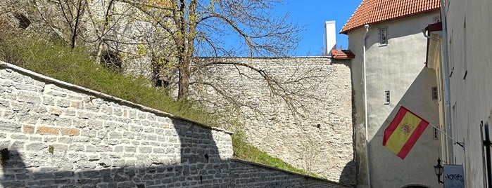Pika Jala Väravatorn (Long Leg gate tower) is one of Best of Tallinn, Estonia.