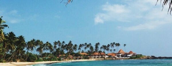Coconut Palm Beach is one of Summer 2014 Sri Lanka/Sumatra/Andamans/Johor.