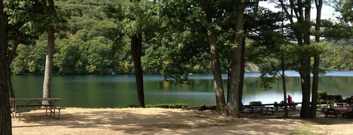 Cranberry Pond is one of FISHING SPOTS.