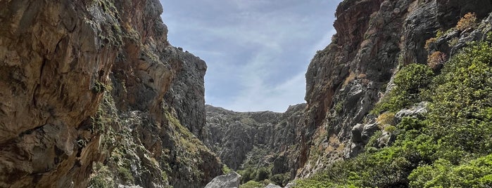 Palm Forest is one of Crete.