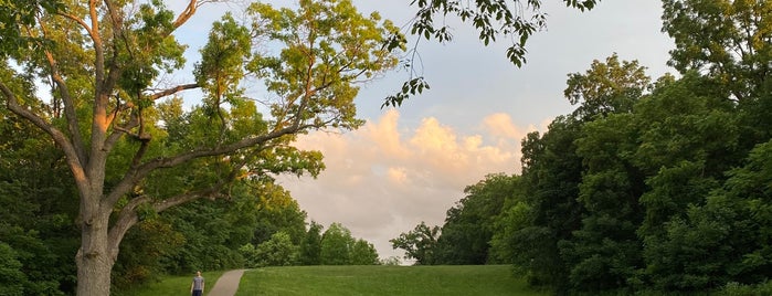 Wurster Park is one of Ann Arbor Parks and Nature.