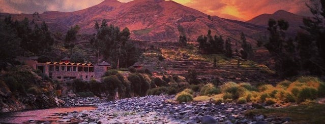Colca Lodge is one of Willさんのお気に入りスポット.