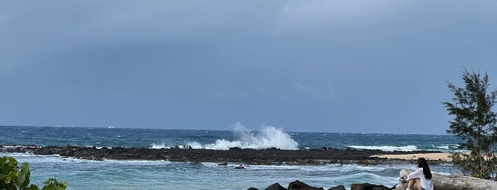 Poipu Beach Park is one of Kaui.