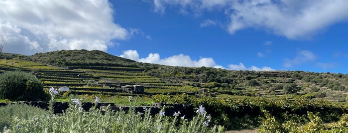 Donnafugata is one of Pantelleria.