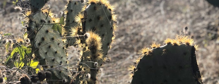 Reimer's Ranch is one of Posti che sono piaciuti a Kelsey.