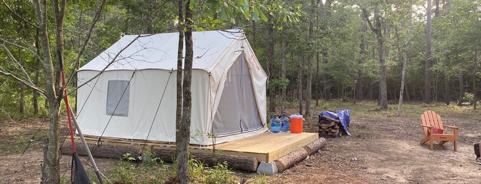 Sam Houston National Forest is one of Houston.