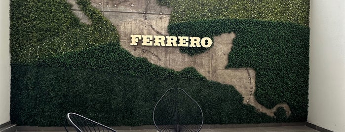 Ferrero de Mexico is one of Lugares.