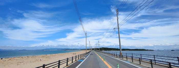 Uminonakamichi Seaside Park is one of カピバラ.