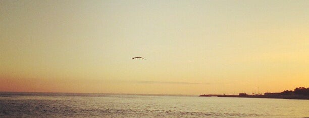 Praia de Santo Amaro de Oeiras is one of TOP Oeiras.