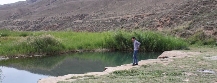 Зона отдыха, лечебный источник "Жылуу Суу" / Rest area, SPA "Jyluu Suu" is one of Naryn Town, Kyrgyzstan / Город Нарын, Кыргызстан.