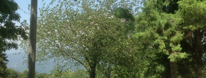 Trattoria Bussi is one of Lago di Garda.