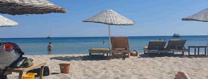 Og.beach is one of İzmir sayfiyeleri.
