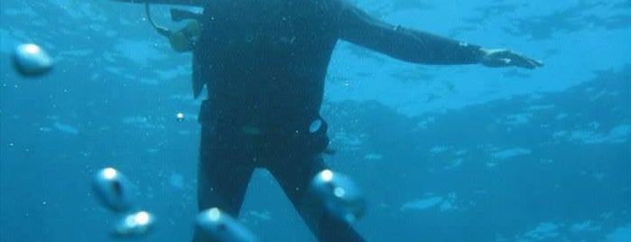 Körfez Diving is one of Gidilesi Mekanlar.
