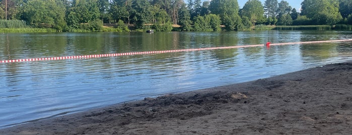 Rüsselsheimer Waldschwimmbad is one of Freizeit to do.