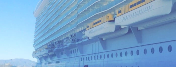 Allure of the Seas is one of france.