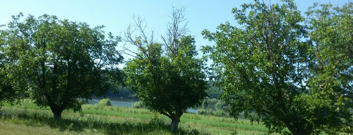 Lacul Ivancea is one of Locais salvos de Alexander.