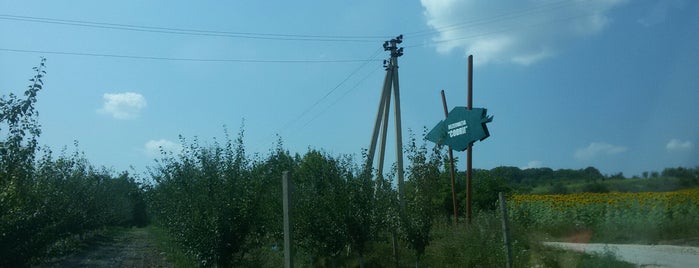 Rezervația „Codru” is one of Кишинёв.