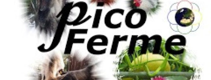 La Pico Ferme is one of Fredさんのお気に入りスポット.