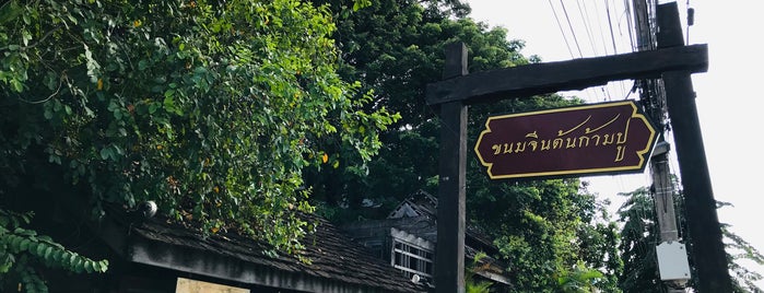 ขนมจีนต้นก้ามปู is one of ร้านน่าทาน 3.