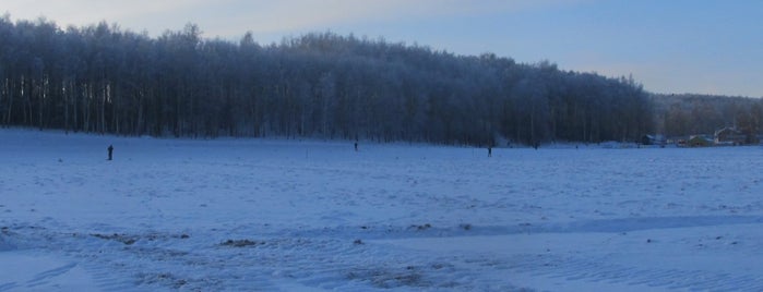 Лыжная трасса в Подолино is one of Горнолыжные парки в Ярославле.