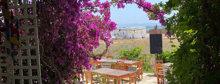 Axiotissa Taverna is one of Naxos.