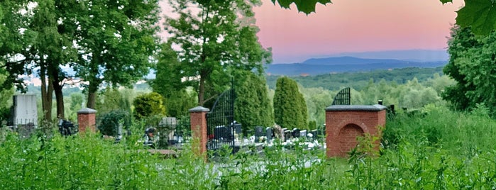 Cmentarz Salwatorski is one of Краков.