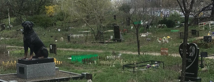 Кладбище Животных is one of Top picks for Cemeteries.