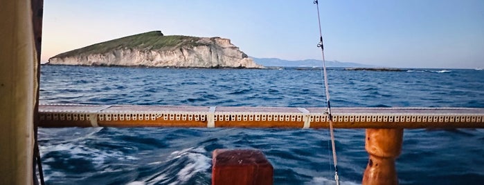 Foca Acık Denız is one of İzmir Deniz Sefası.