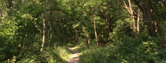 Minnetonka Loop Trail Systems is one of Lugares favoritos de Elizabeth.