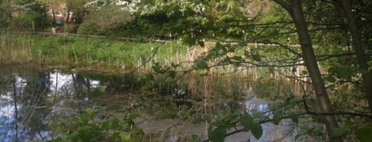 Camley Street Natural Park is one of Tired of London, Tired of Life (Jan-Jun).