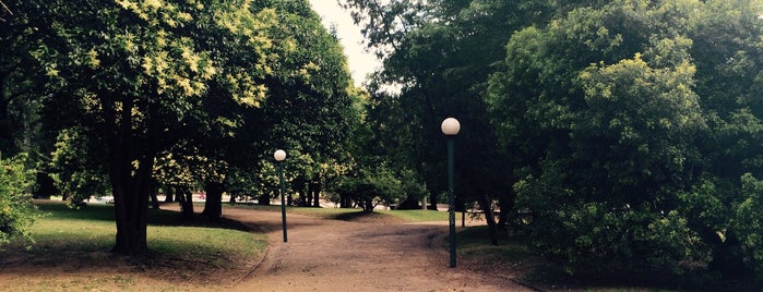 Parque Batlle is one of Top 10 favorites places in Montevideo, Uruguay.